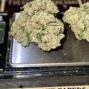 2B0C217B-DA8C-4A75-95D3-960A317A4E5B