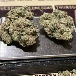 C9379CA1-1376-42BB-A085-AFE29B1F7226