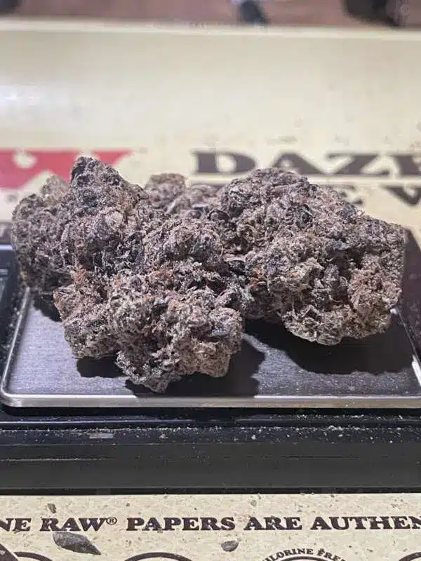 61F7A8C1-5D3D-45CE-8DAA-4CB47AE73FA9-600x800