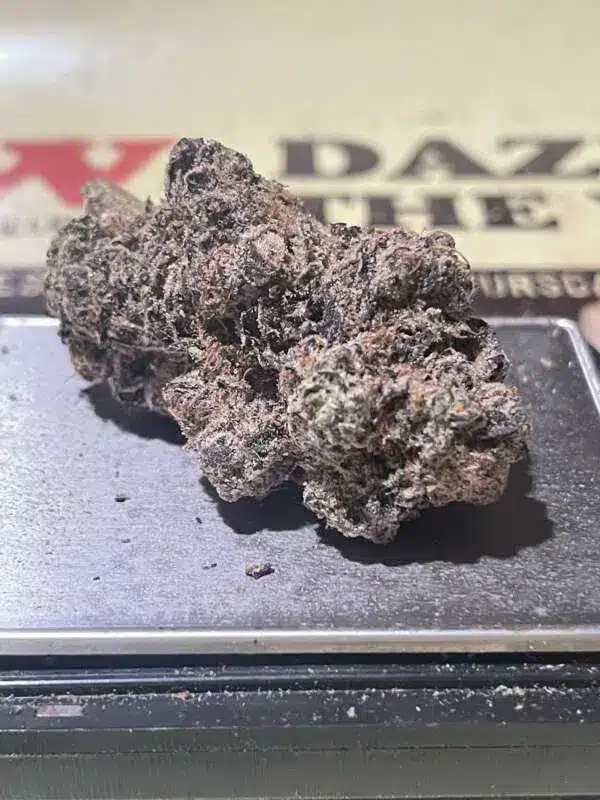 8D734A0B-ABB6-4AD7-A660-F0FC7EF6B9CC-600x800