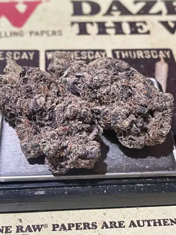 9193239D-A514-4ECF-BD0E-34553E5AD75B-600x800