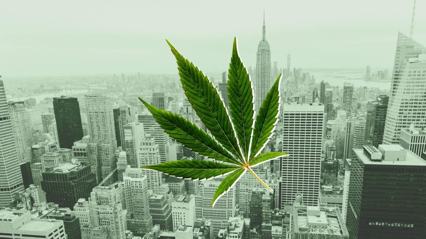 cannabis legalization